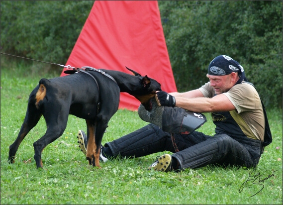 Summer training camp - Jelenec - 2007